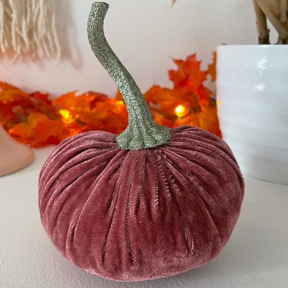 Pink Velvet Pumpkin with Glitter Stem - Picture 1 of 2